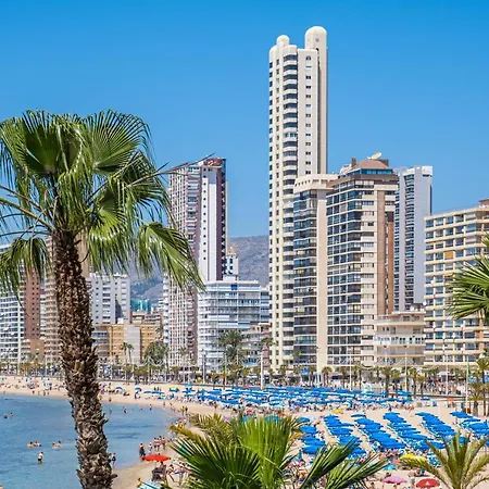 Seimar 1-8 Levante